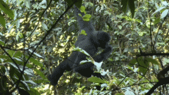 多行动建牢云南普